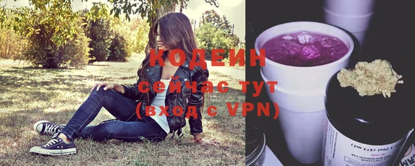 mdpv Инсар