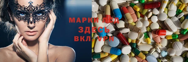 амф Инта