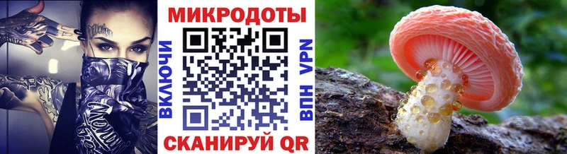 Купить  Избербаш  Галлюциногенные грибы Cubensis 